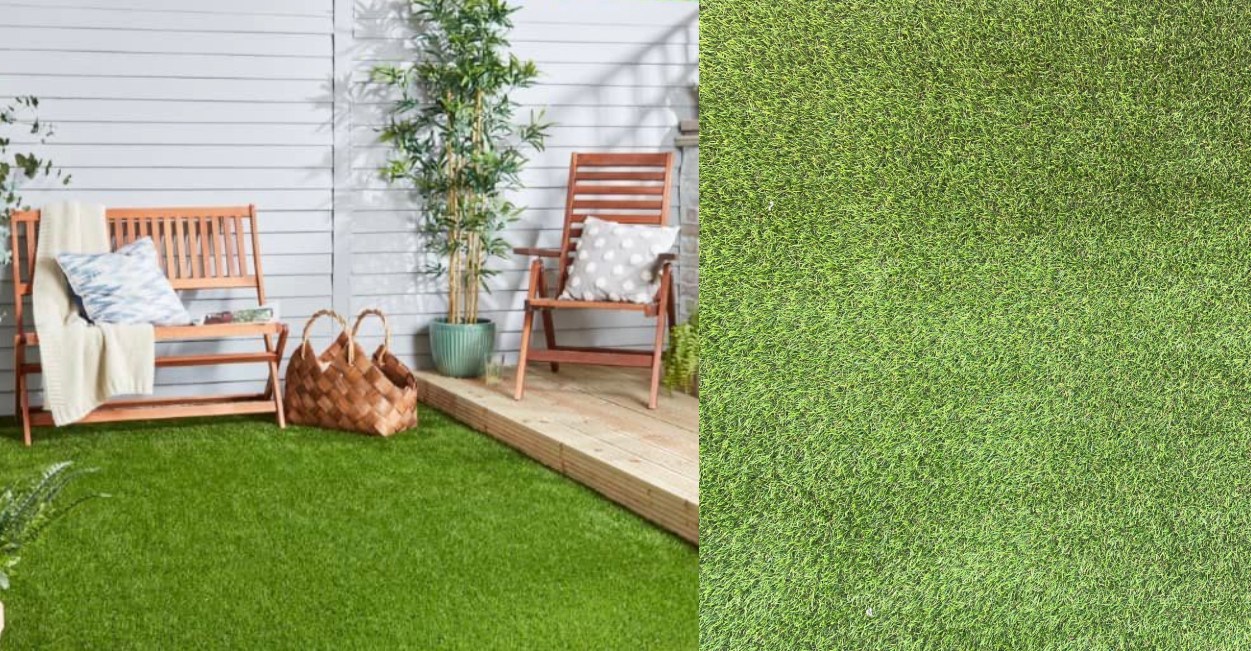 489928433_1348026343514151_3830668069769792904_n